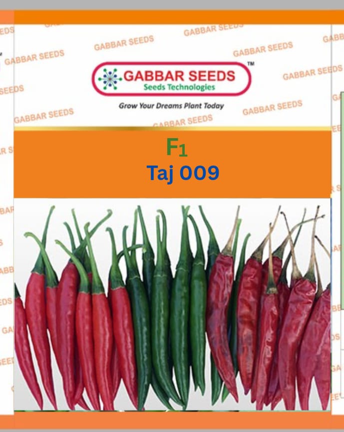 F1-Taaj-009